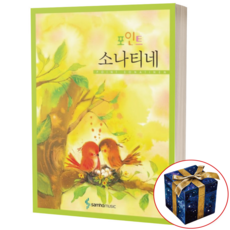 포인트 소나티네