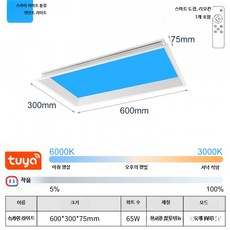 LED 천장등 패널 플라스틱 소재 욕실용 초슬림 스마트 조명, 9_블루스카이300x600스마트도장