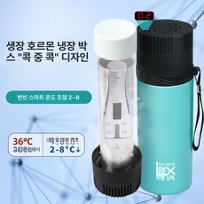 휴대용 인슐린 보관 케이스 냉장 디스펜서 쿨러 통 E68일반 배터리 플러그겸용, 스탠다드, 1L