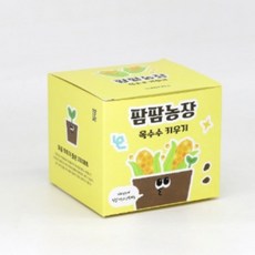옥수수 키우기 유치원 식물관찰 미니텃밭 체험 화분 모종 교구, 상세페이지 참조