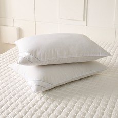 박홍근홈패션 알파 마이크로베개솜, 1개