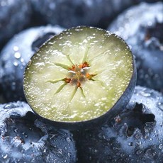 [최상급원물] 재구매율1위 국산 생 블루배리, 1박스, 1팩(총 100g)