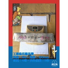 EN1492-1 聚酯纖維扁平吊帶 寬度100mm 荷重4T, 1個, 長度：6M (600公分)