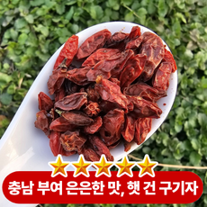 [100%국내산]입안에 은은하게 퍼지는 달콤한 맛 끝맛에 살짝 느껴지는 자연의 깊은 풍미 건 구기자, 1박스, 80g