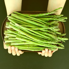 100% 국내산 생 아스파라거스 먹기 편한 미니 사이즈, 500g 미니, 1개