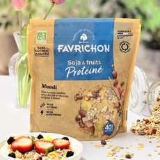 프랑스 유기농 대두단백 과일 뮤즐리 그래놀라 유기농 시리얼 프로틴시리얼, 450g, 1개