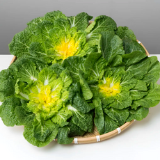 [타임특가] 달찌네 신선한 국내산 특품 봄동 배추, 1개, 1kg