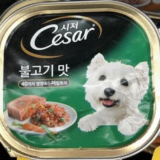 사료 불고기 애견 강아지 반려견 Cesar 100g 시저 맛 kwl+9642HG