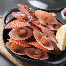 활 가리비 2kg 산소팩포장 매일 새벽 채취 출고, 없음, 1개, 활가리비 2kg