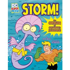 (영문도서) Storm!: The Origin of Aquaman's Seahorse Hardcover, Stone Arch Books, English, 9781663959126