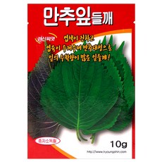 세인화분 국산 만추 잎들깨 10g - 들깨 씨 씨앗 깻잎 깨씨앗, 1개 1개