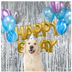 강아지코스튬 강아지생일소품 댕냥이 파티 수술커튼 반려동물 생일파티 촬영 세트