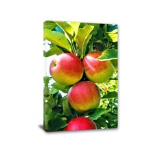 KAVORA 풍수에 좋은 사과 과일 그림 금전운 인테리어 액자 그림 캔버스액자 주방 거실 풍수인테리어, 06