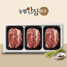 [작심밀도]농협안심한우 1++ 등심200g + 등심200g + 등심200g / 냉장, 1