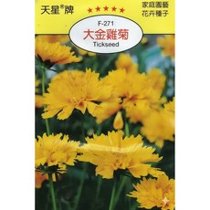 天星牌大金雞菊種子 F-271 野菜部屋穗耕種苗, 1包