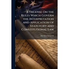 (영문도서)A Treatise On the Rules Which Govern the Interpretation and Application of Statu... Paperback, Nabu Press, English, 9781145770584