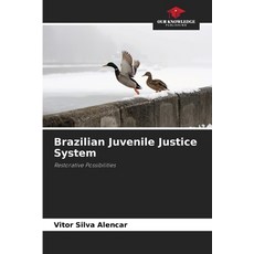 (영문도서)Brazilian Juvenile Justice System Paperback, Our Knowledge Publishing, English, 9786209152061