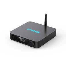 FIIO SR11 Wi-Fi 無線音樂串流播放器 支援AirPlay、Roon Ready、Hi-Res Audio, 黑色, 1個