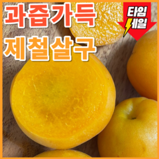 [첫수확특가] 산지직송 새콤달콤 과즙가득 제철살구, 1개, 1kg