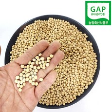 국내산 노란 콩나물콩 유태, 500g, 1개