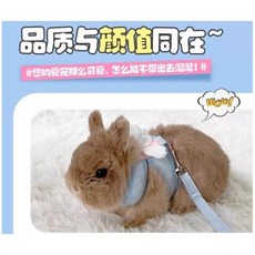 ※兔老爺※兔子牽引繩 兔兔外出繩 小寵牽引繩 兔子牽繩衣 防咬掙脫鍊子 兔子外出專用 溜兔繩 兔子牽繩, 1個, S號