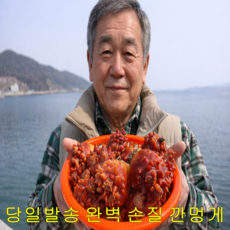 완벽 손질 속살만 깐멍게 500g 봄 활 멍게 제철 통영, 1개, 활 통멍게 1kg