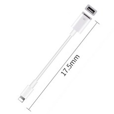 APPLE 麥克風USB轉手機OTG轉接線，適用於IOS與Type-C設備，即插即用，錄音清晰穩定, 1個, USB麥克風接IOS 手機