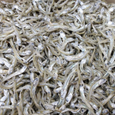 진도 해초롬 진도산 볶음용 반찬 소멸치 300g, 1개