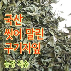 주홍빛소박한구기자이야기 / 농장에서 직접 말린 구기엽(구기자잎) 50g 농장 직송 / 깨끗하게 씻어 말림 / 국산 100%, 1개