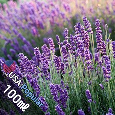 E010 라벤더 100ml (Lavender) 프래그런스오일 캔들 디퓨저 향수, 1개