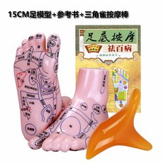 발 경혈 모형 교육 가정용 혈자리 한의원 마사지 모델, 1세트, 15CM 고화질 모델+참고서+삼각스틱