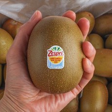 제스프리 고당도 골드키위 자이언트점보 12개입(2.4kg), 12개입(2.4kg내외)