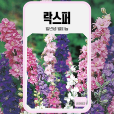 락스퍼 씨앗 200립 혼합 사이버가든 씨 꽃씨앗 꽃씨 일년생 델피늄 화훼 화단 노지월동, 1개