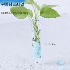 유리볼 소품 라운드 오브제 북유럽 투명 거실 장식 미니, 원형 튜브형
