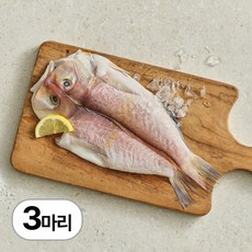 제주반했어 반건조 제주 참옥돔, 3개, 180g