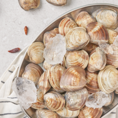 살아있는 백생합 10kg 해감완료 오씨수산 조개찜, 1개