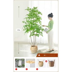 인조 몬스테라 플랜테리어 소품 매장 인테리어 촬영 파초, 1.8m 3줄 난디나+꽃바구니