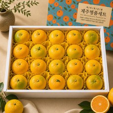 갓따온 제주 황금향 선물세트 4.5kg 중과 20-26과, 1개, 4500