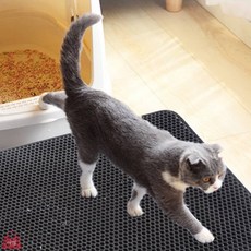 사심몰 고양이모래매트 고양이발판매트, 블루 40x50, 1