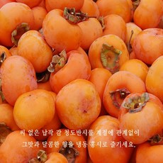아이스홍시 냉동홍시 10KG(70~90과) / 냉동홍시6.2kg 탈피 꼭지 씨방 제거 청도반시 풀빛농원, 1박스, 6.2kg탈피(꼭지씨방제거)