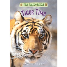 Tiger Time Hardcover, Houghton Mifflin