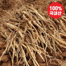 [초특가할인] 국내산 도라지 생도라지 약도라지 실속형, 1개, 도라지 즙용 1kg