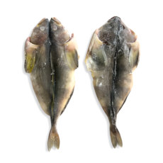 임연수 5kg 내장제거 대용량 냉동 임연수 구이용 조림용 업소용, 1개, 손질 임연수 5kg 20미