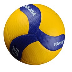 五號排球 考試/訓練/比賽用球, 1個, PVC-V300W（送網兜+球針）