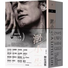 大塊文化 渺小一生 上下冊合售 柳原漢雅小說