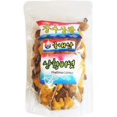 동의한약나라 장수 상황버섯, 1개, 150g