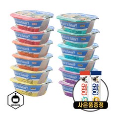 내추럴발란스 캣 스튜 혼합 6종 2개씩 12개 + 츄르1개증정, 71g, 기타생선