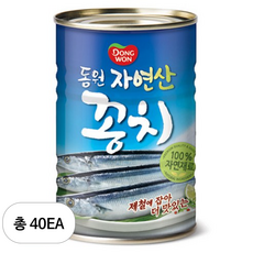 동원 꽁치, 300g, 40개