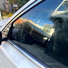 곤충키우기 분리형 사육케이스 칸막이구조 통풍설계 투명 플라스틱용기 1P