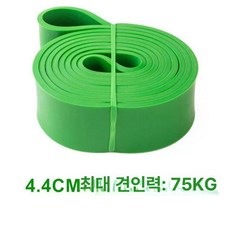 턱걸이용밴드 딥스밴드 줄운동 유도고무줄 29kg 블랙, 1개